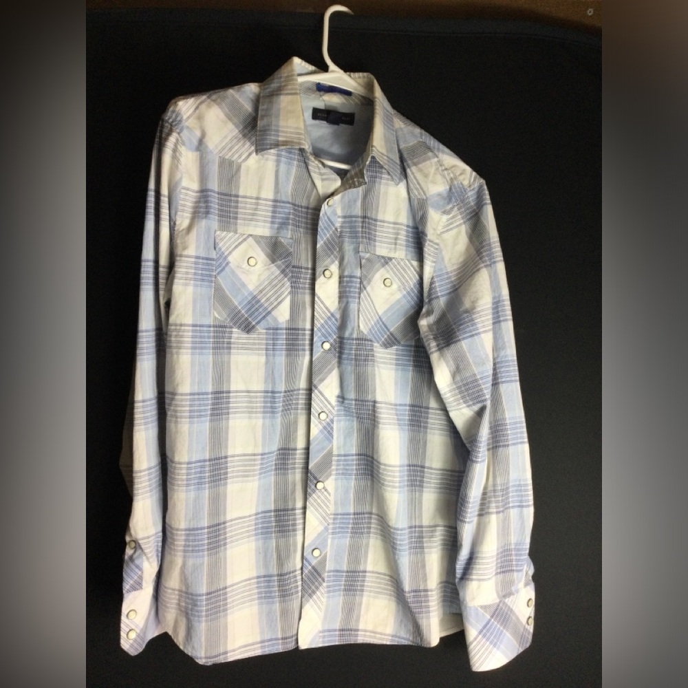 Banana Republic Blue and White Plaid Button-Down Shirt